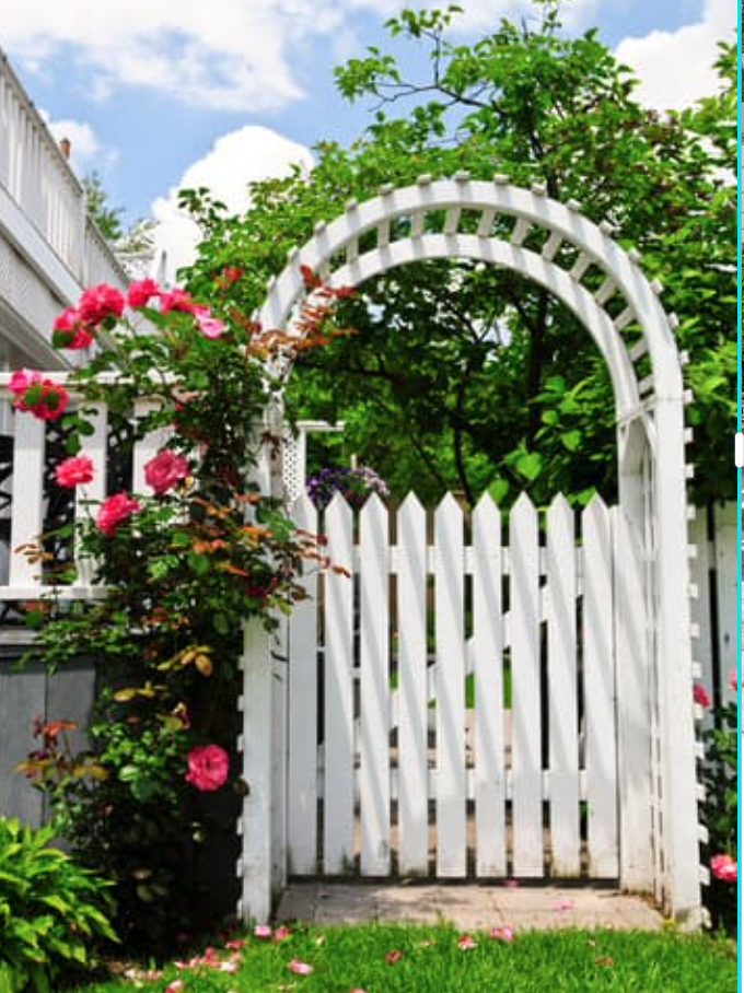 White arbor with pink roses