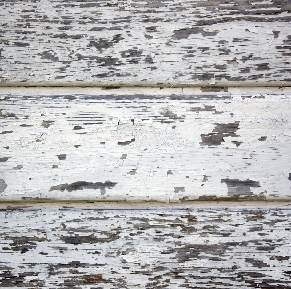 Check out our EPA Lead Certified Professionals