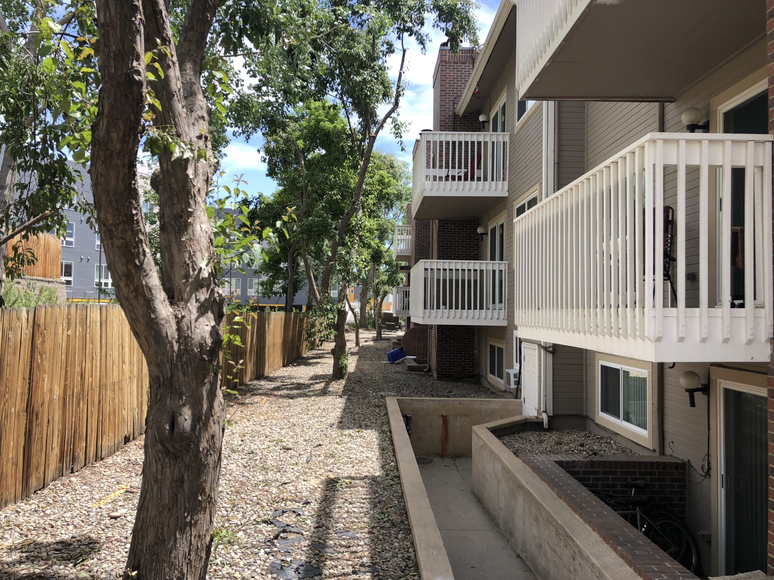 apartment painting before