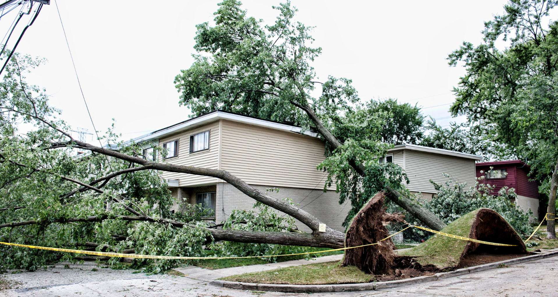 Check out our Storm Damage Repair & Painting Services