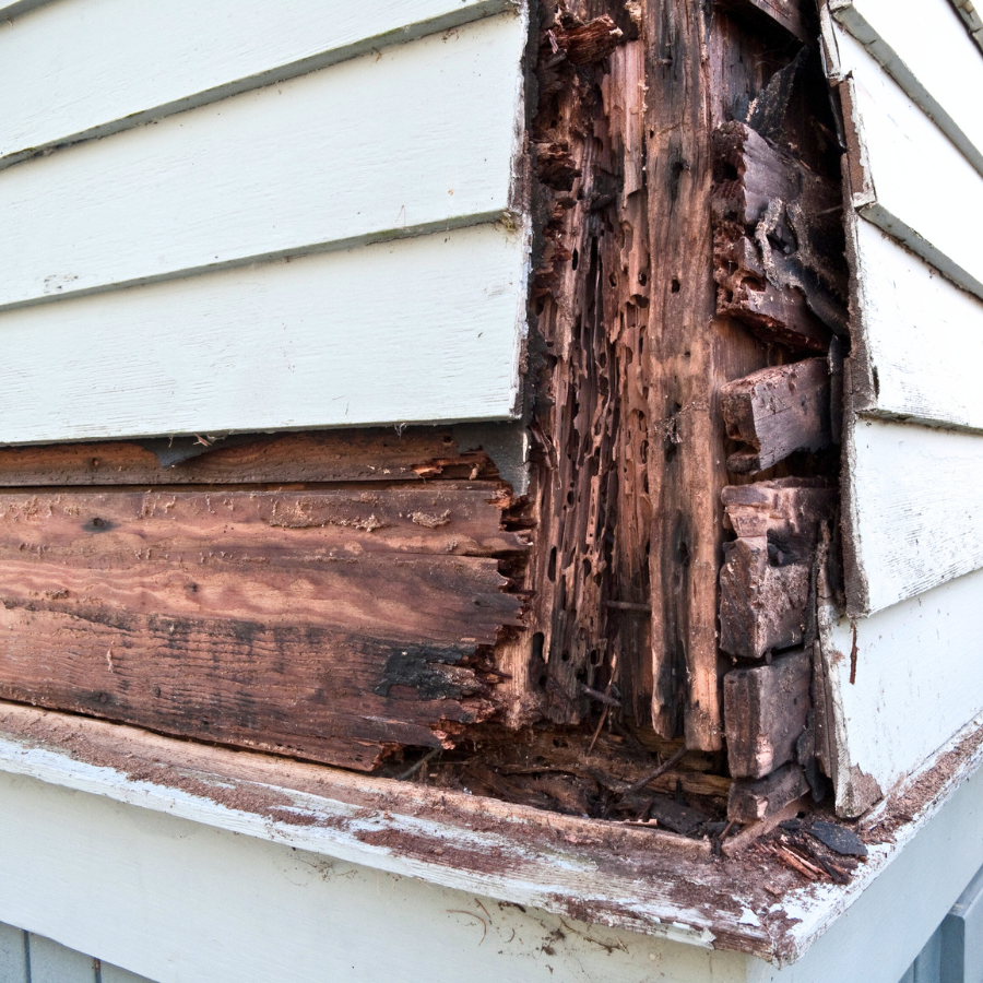 Check out our Wood Rot Repair