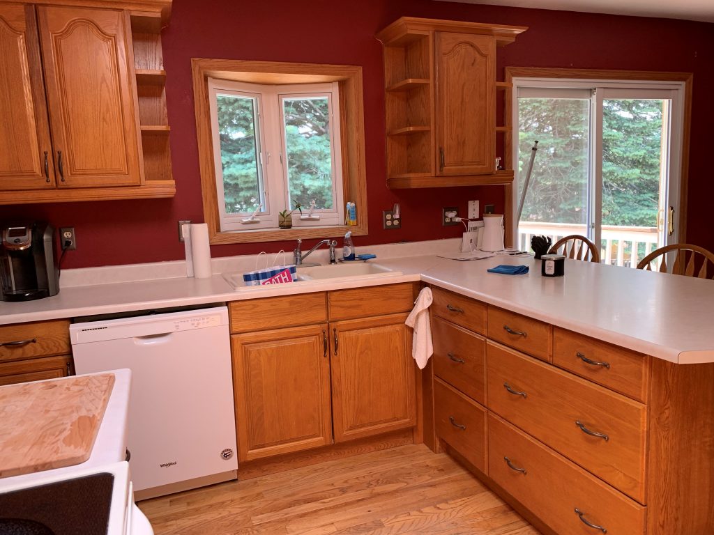 Kitchen Cabinets 1 Before