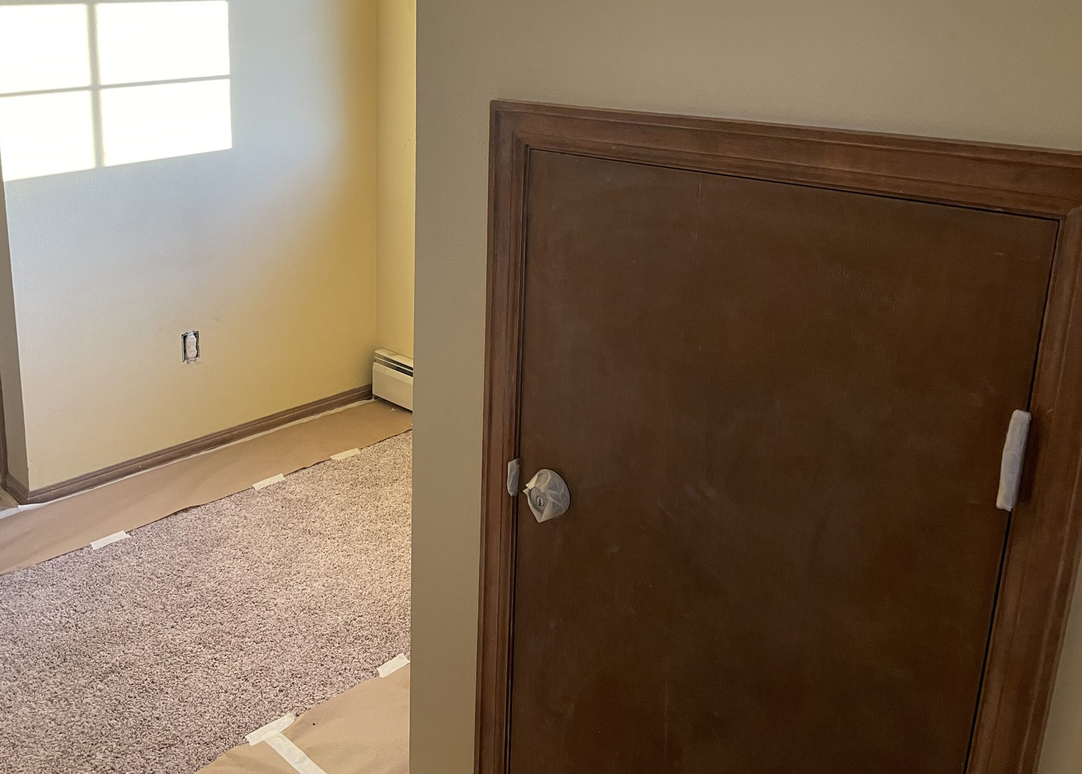 Brown Wood Door Repainted Before