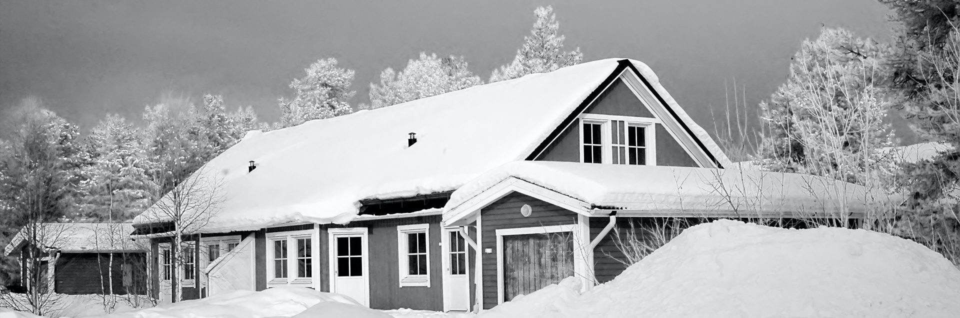 featured blog image