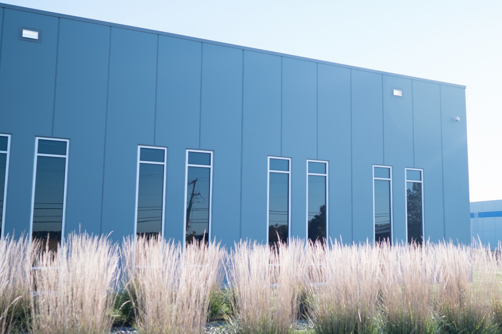 Exterior paint around windows