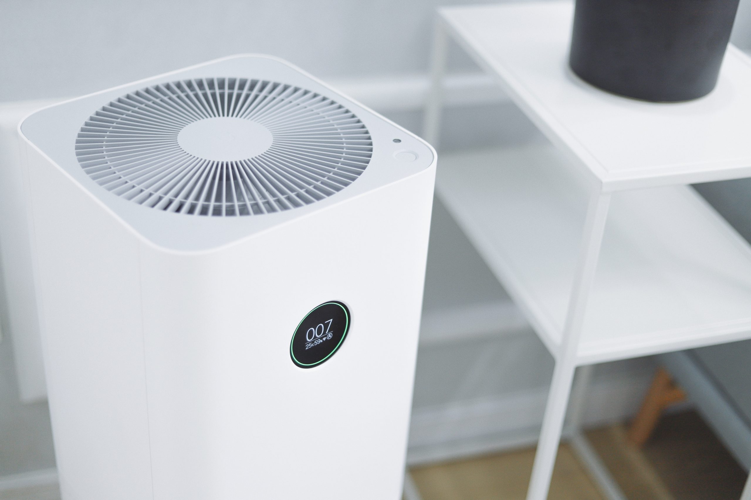 air purifier 