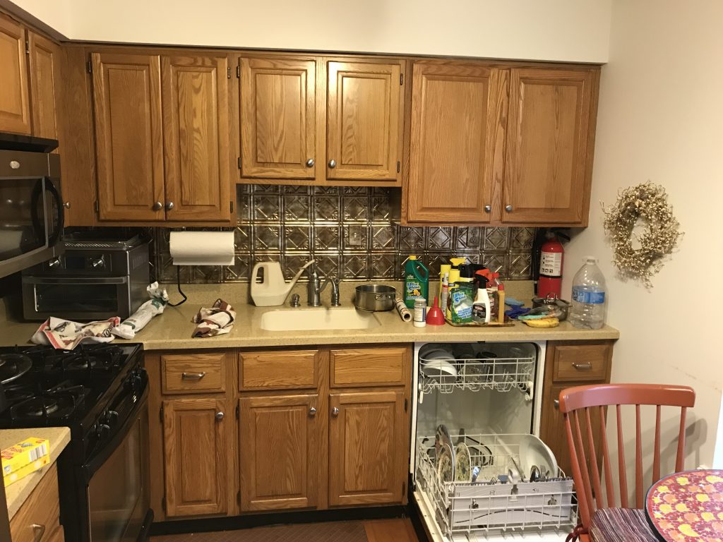 Kitchen Cabinet Painting Before