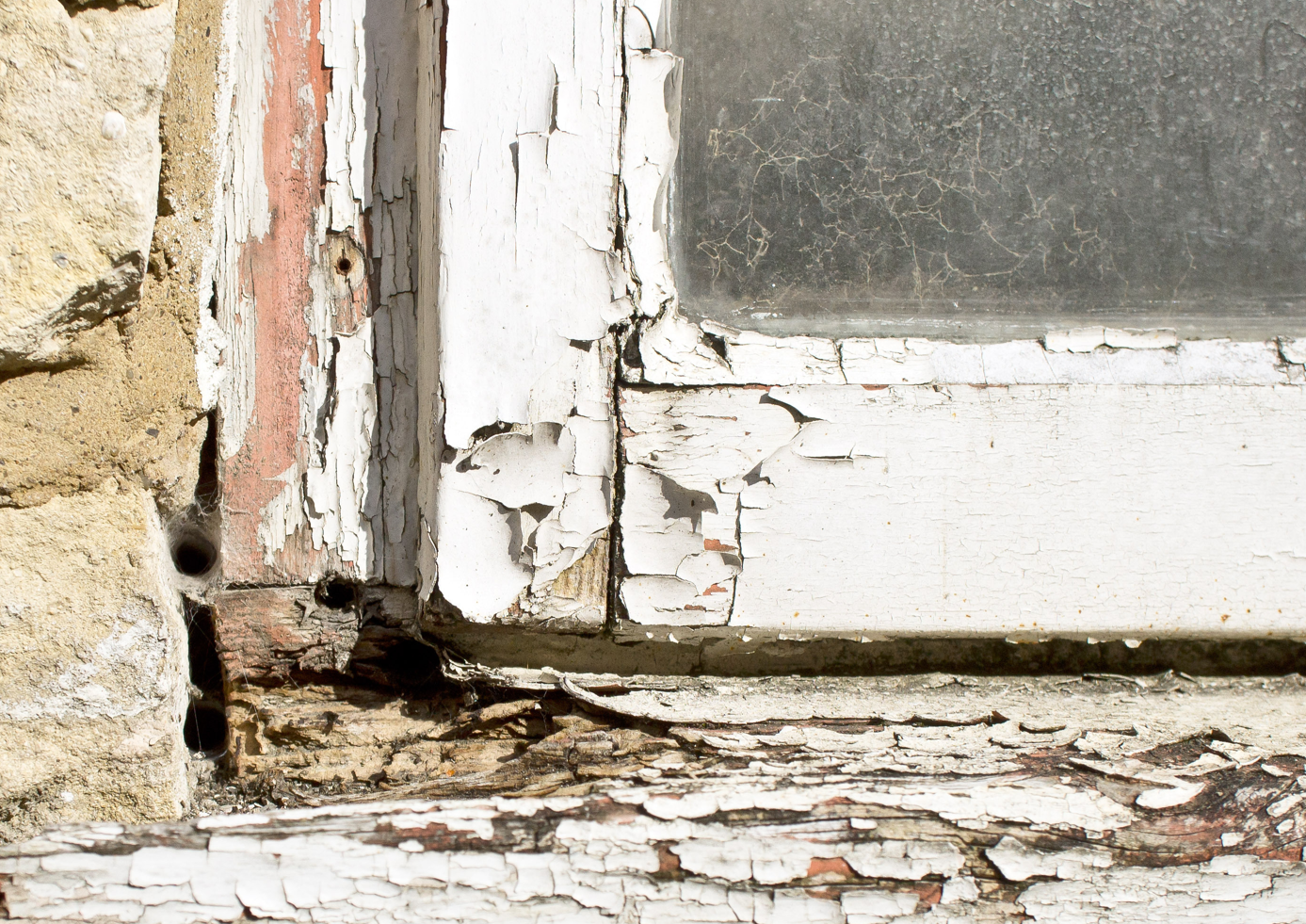 rotting wood on sill