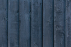blue fence painting