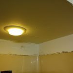 Failing Paint & Wallpaper