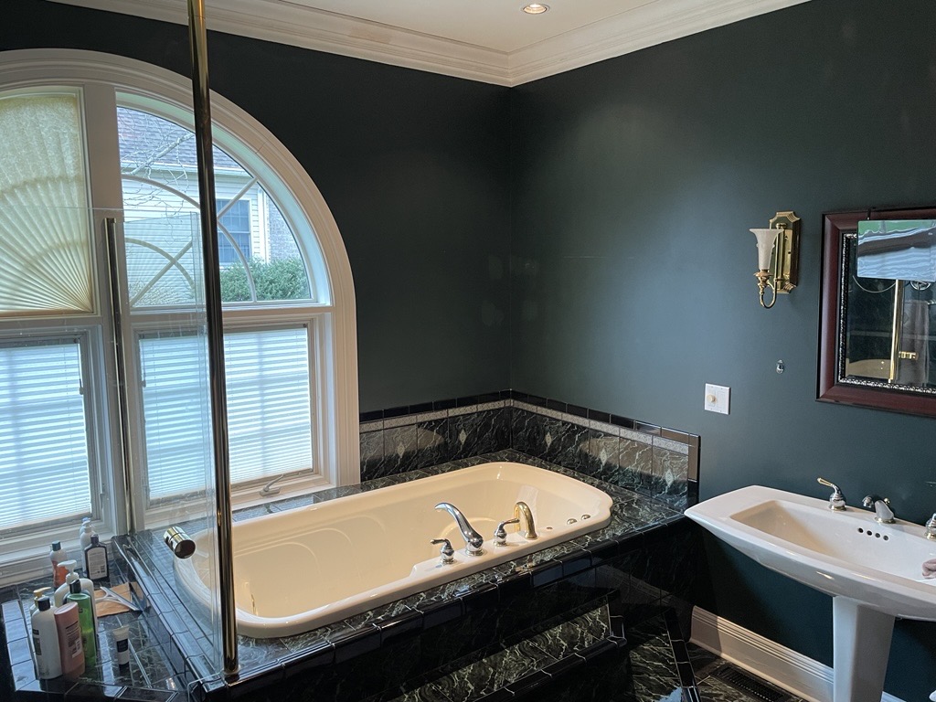 green bathroom before painting