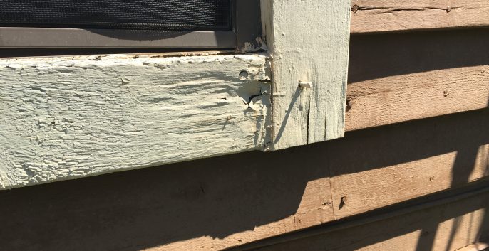 Check out our Carpentry Repair Services