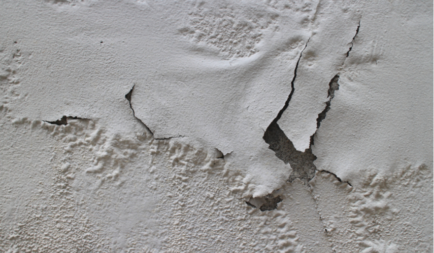 sign of paint failure - blistering paint