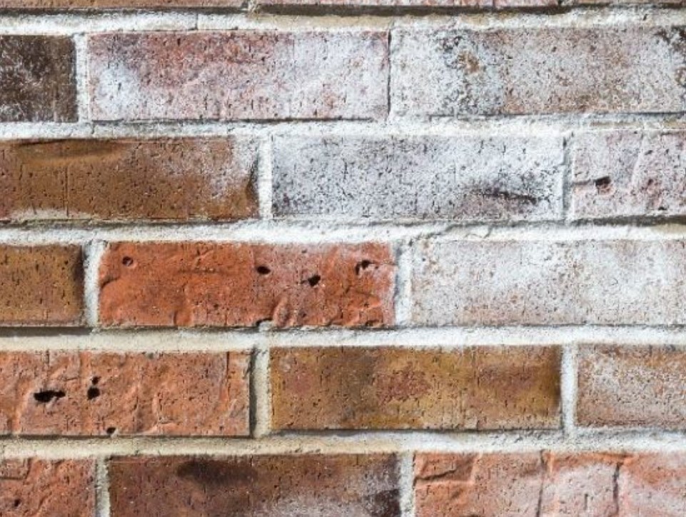 efflorescence is a sign your commercial building may need maintenance