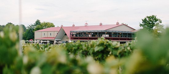 daniels vinyard in mccordsville