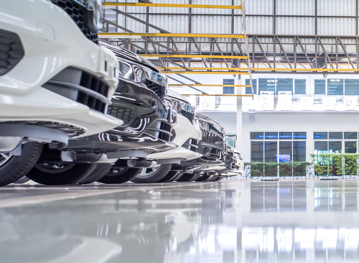 Commercial Show Room floors