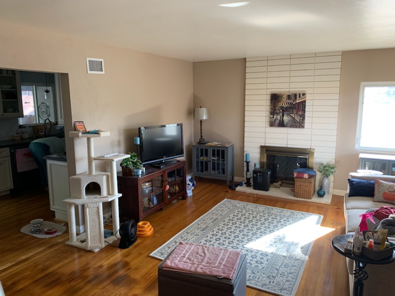 Living Room Painting Before