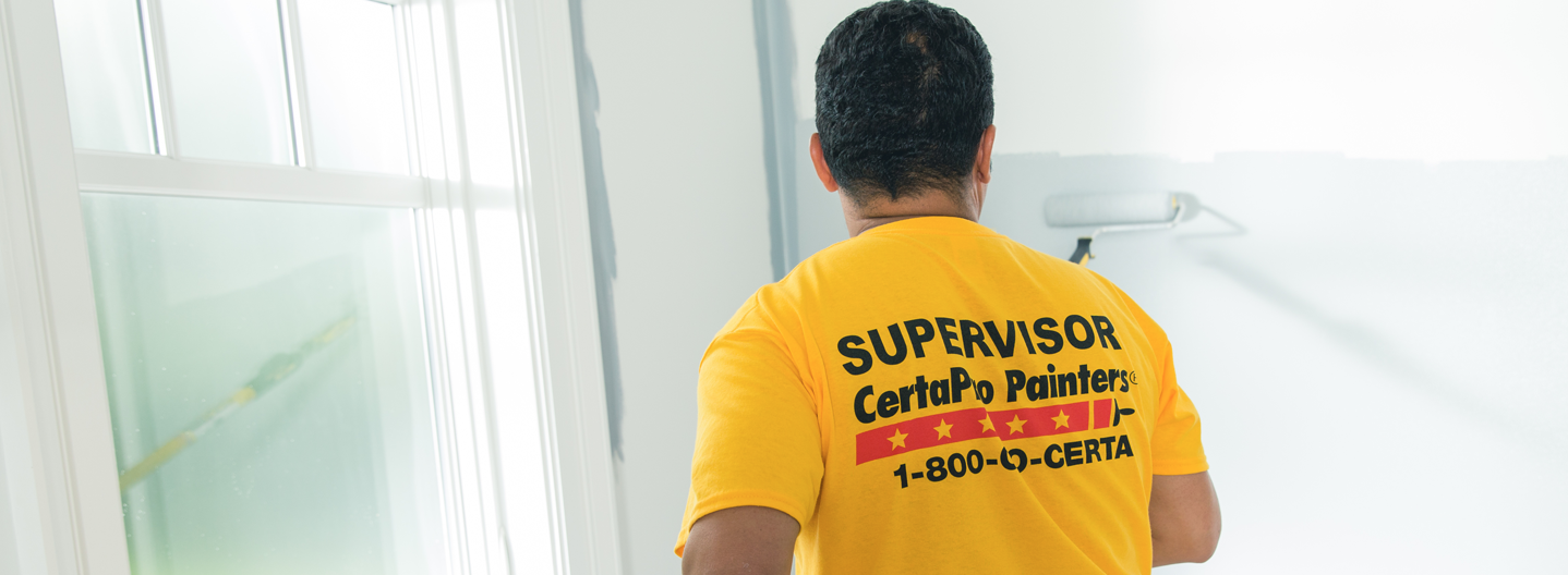 Certa Pro Professional Painter
