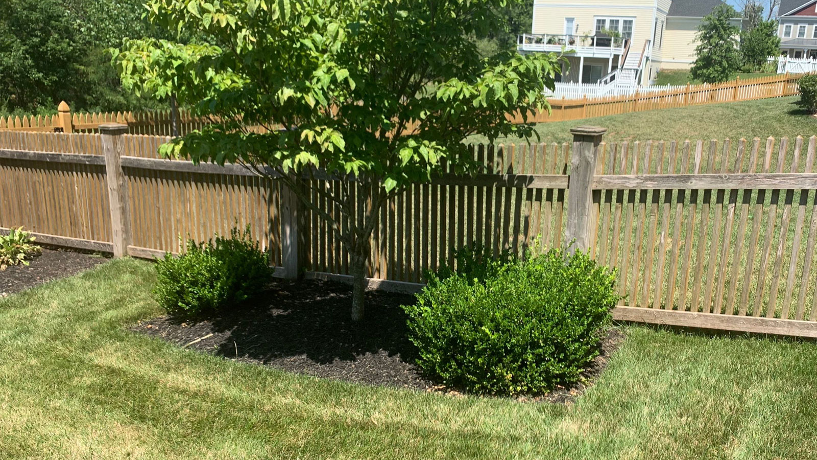 before siding painting