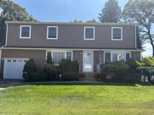 whole home exterior painters