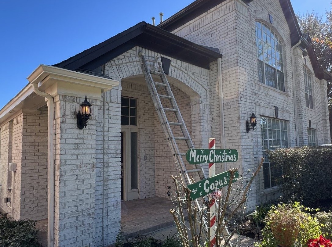 Check out our Romabio Limewash Services