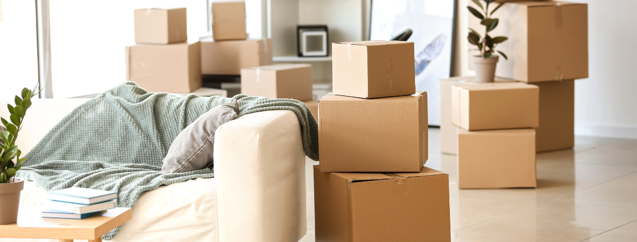 Check out our Move-In & Move-Out Painting Services