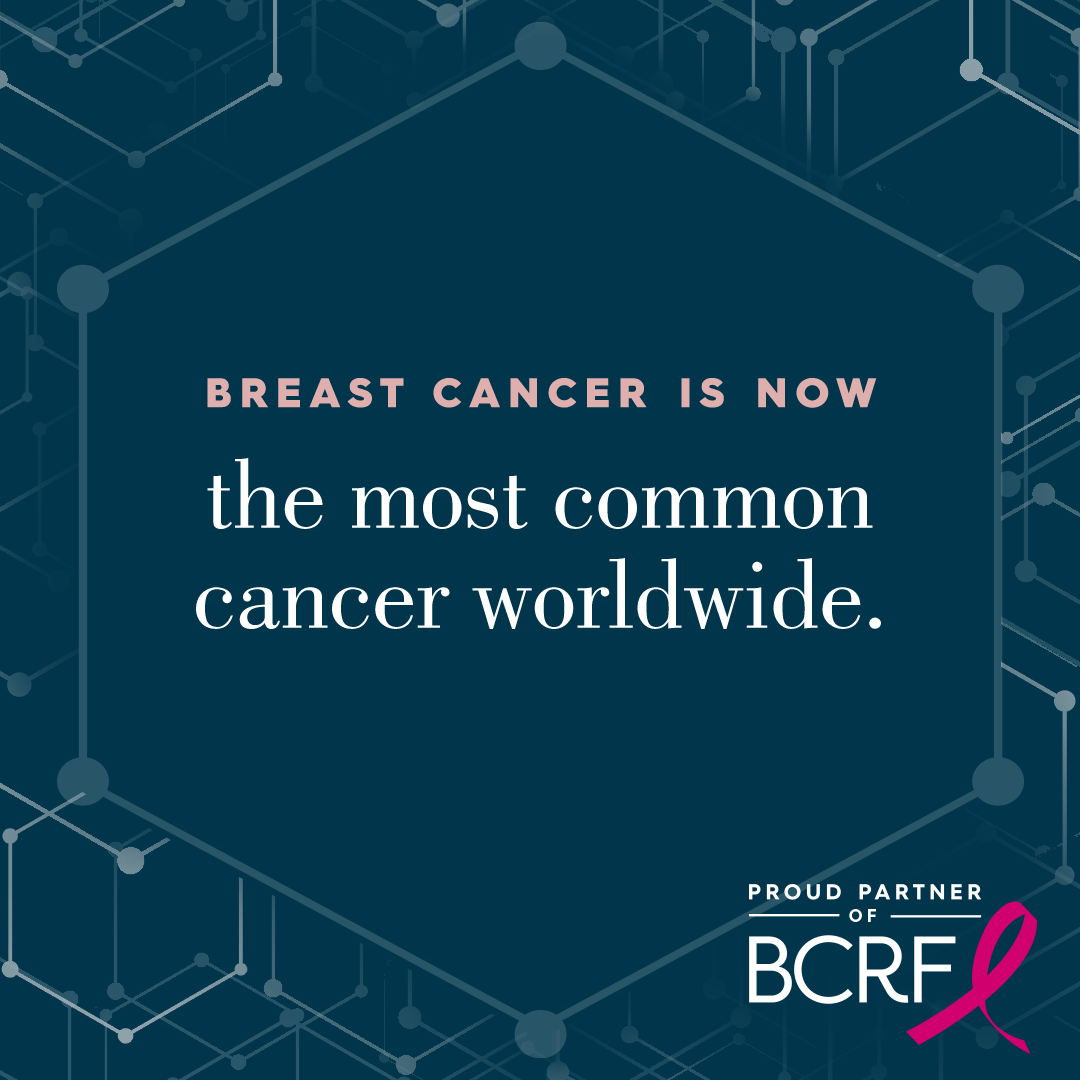 Description of Image 2