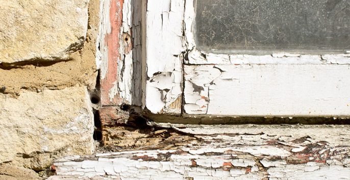 Check out our Wood Rot Repair