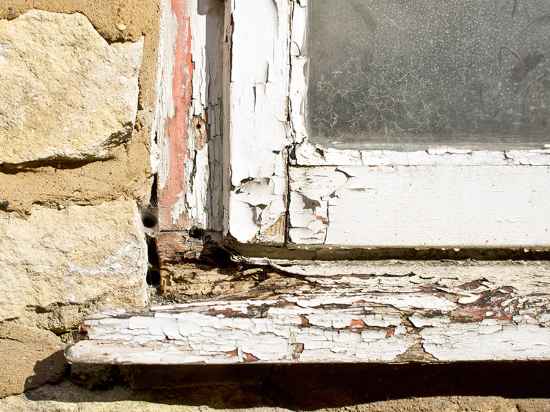 Check out our Wood Rot Repair