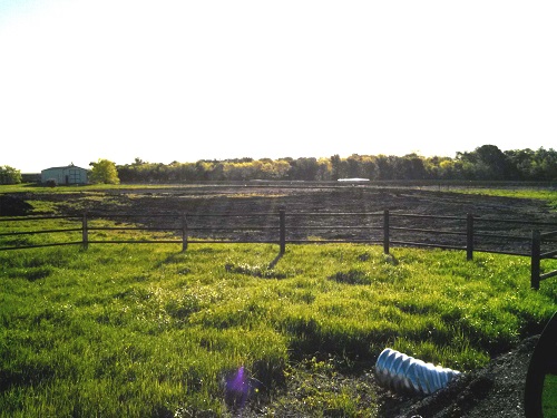 HFOT Plano - Progress