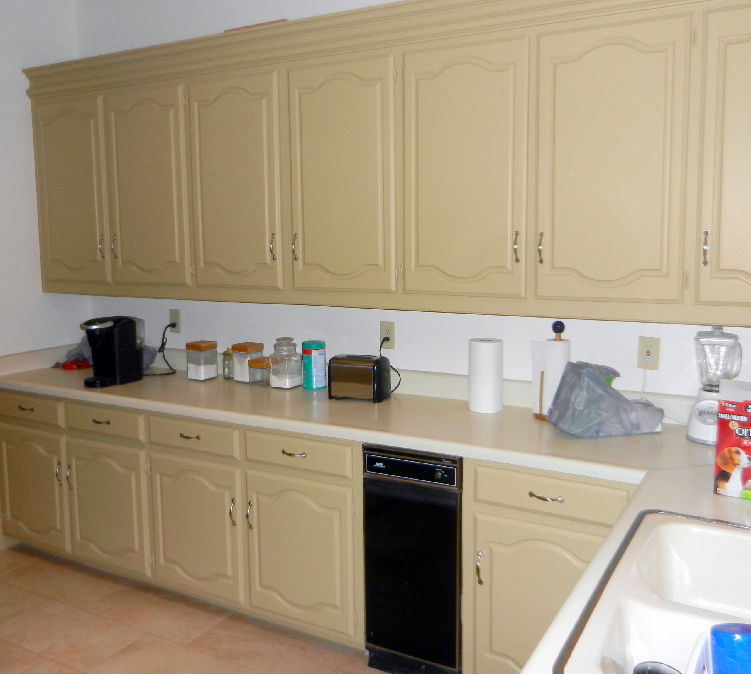 Painting Contractors