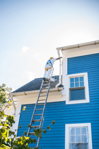 Professional House Painting Services