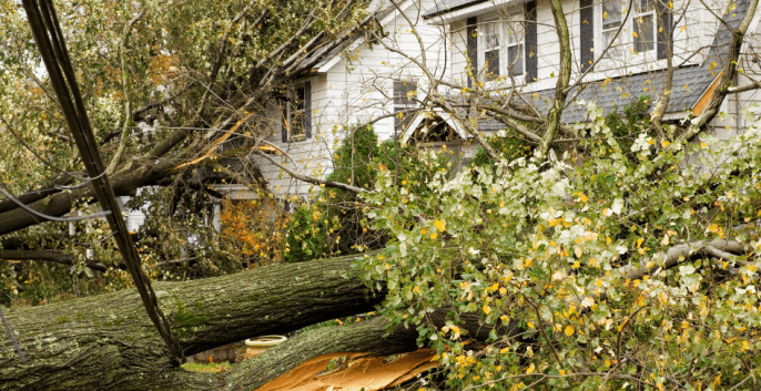 Check out our Storm Damage & Repair Services