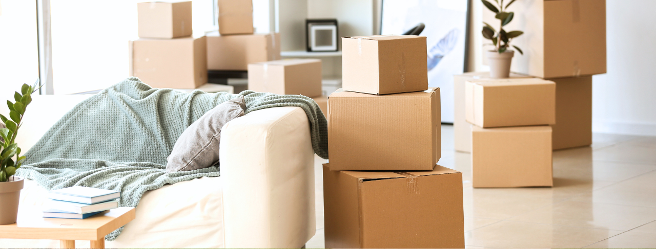 Check out our Move-In & Move-Out Painting