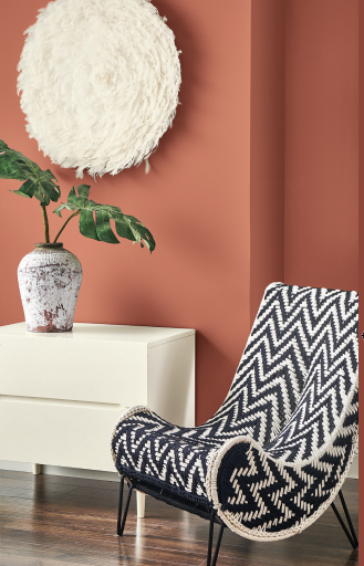 SW ColorSnap Color Consultation