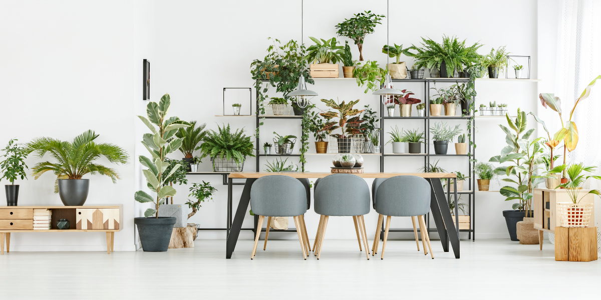 Check out our Eco-Friendly Paint