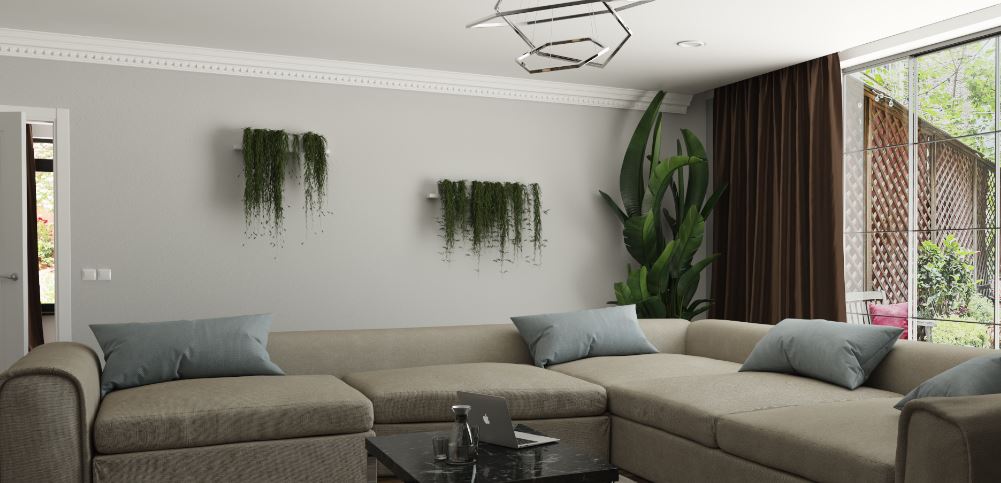 gray and white trim painted room