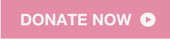 Paint It Pink Donate Button