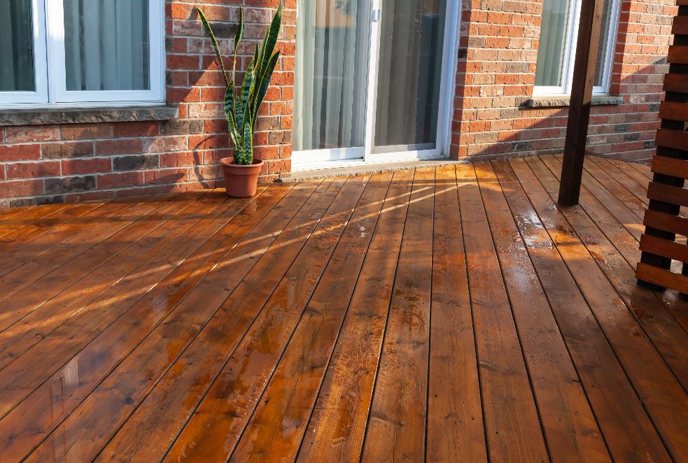 stained deck