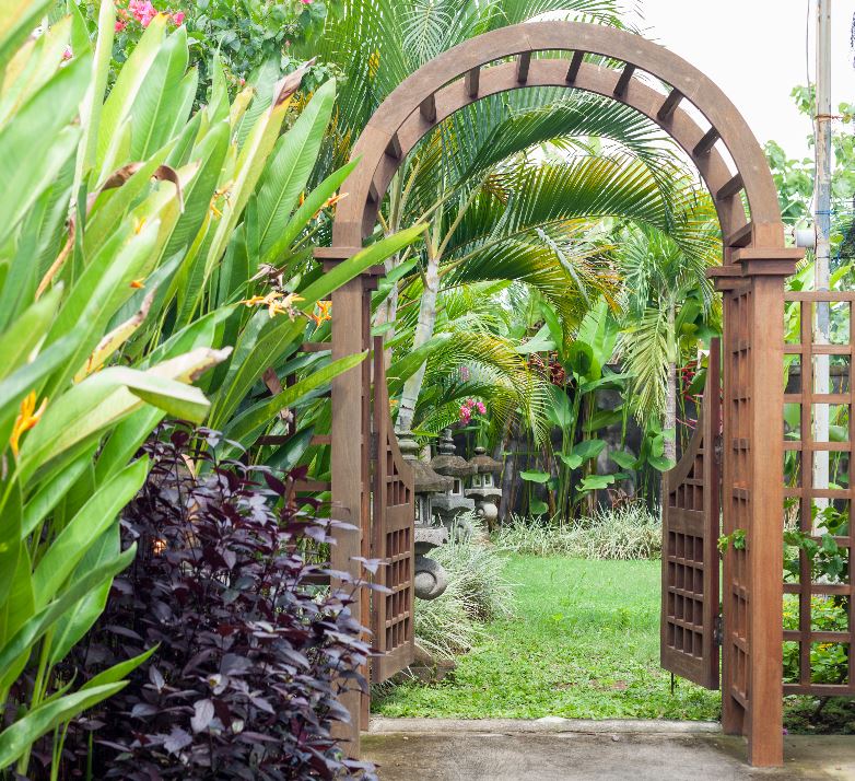 arch and arbor back yard