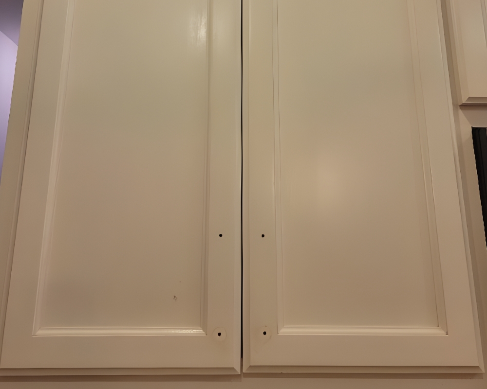 Cabinet Case Study Before