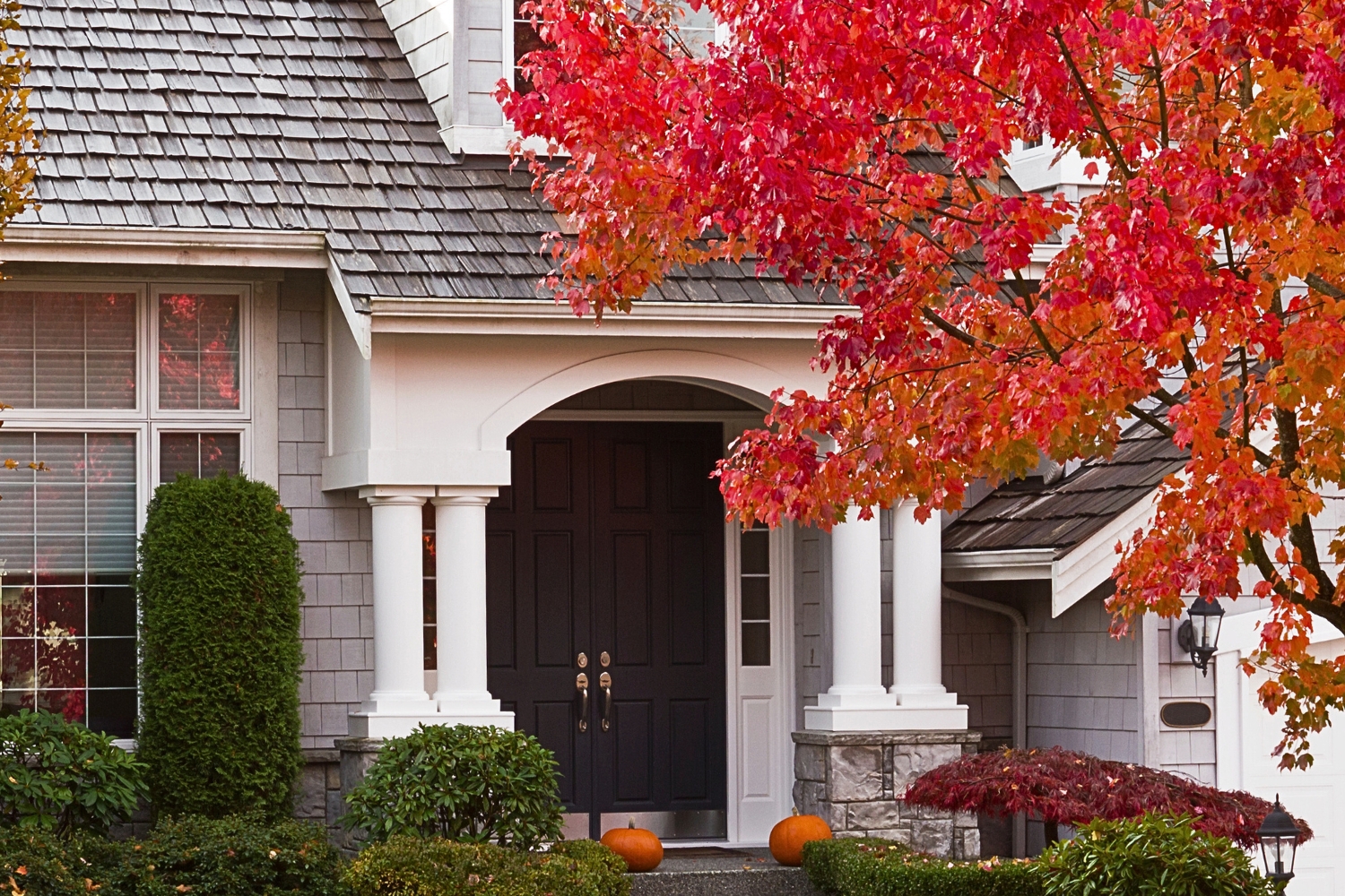 Fall Home Banner image