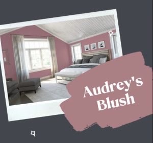 audreys blush paint swatch