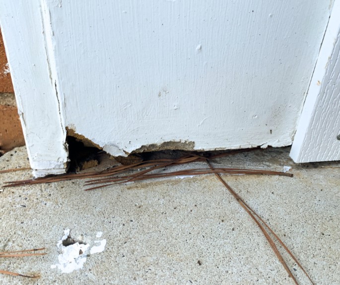 wood trim rotting compared to vinyl