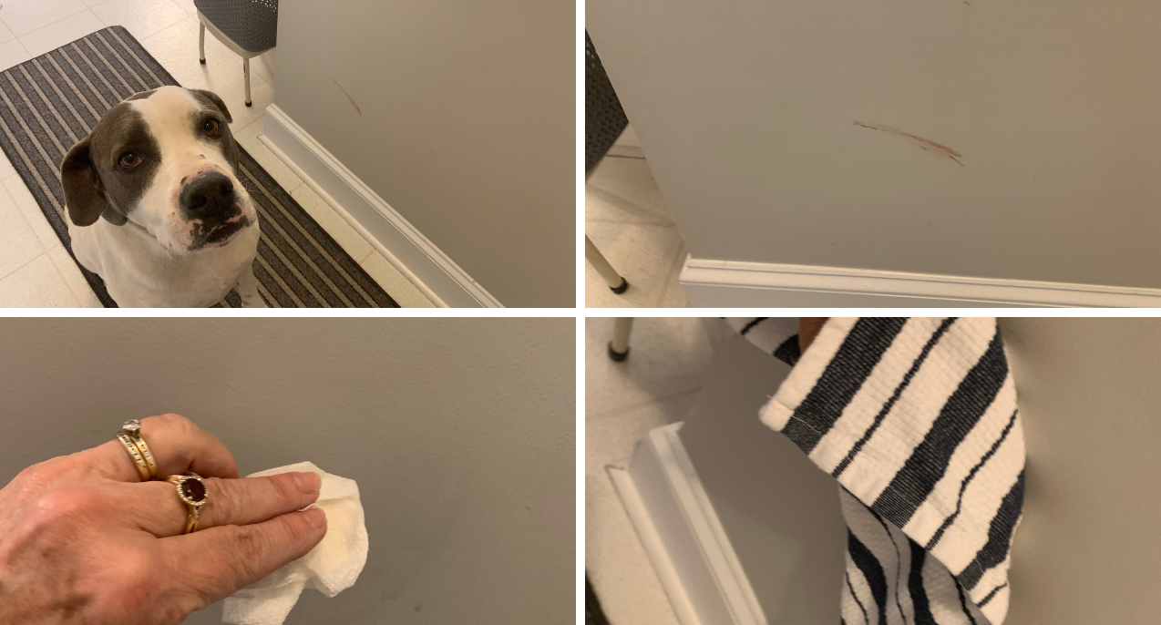 cleaning interior walls