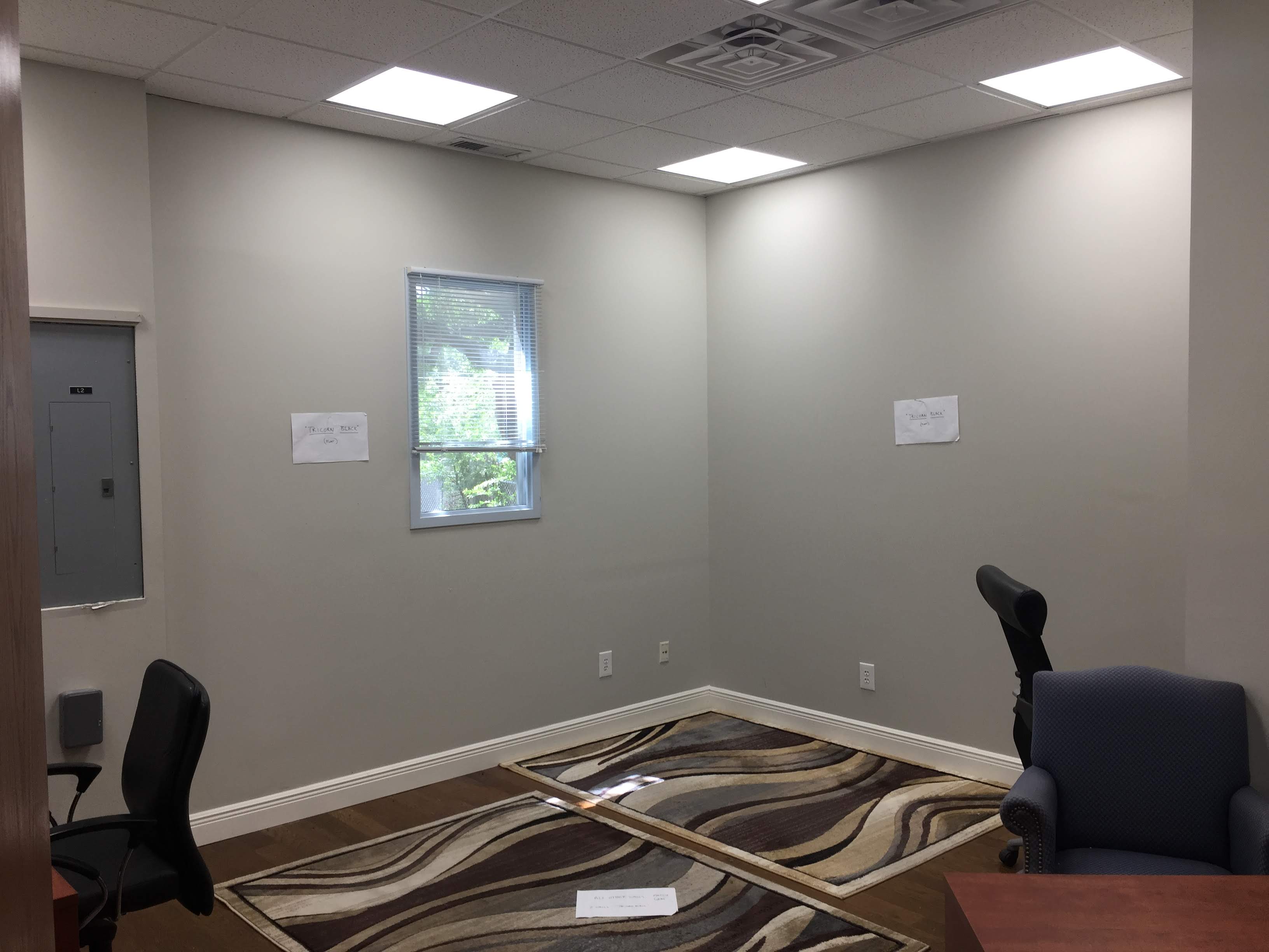 Office Painting Before