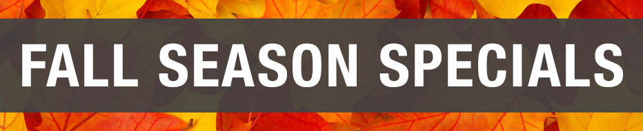 Fall Season Special