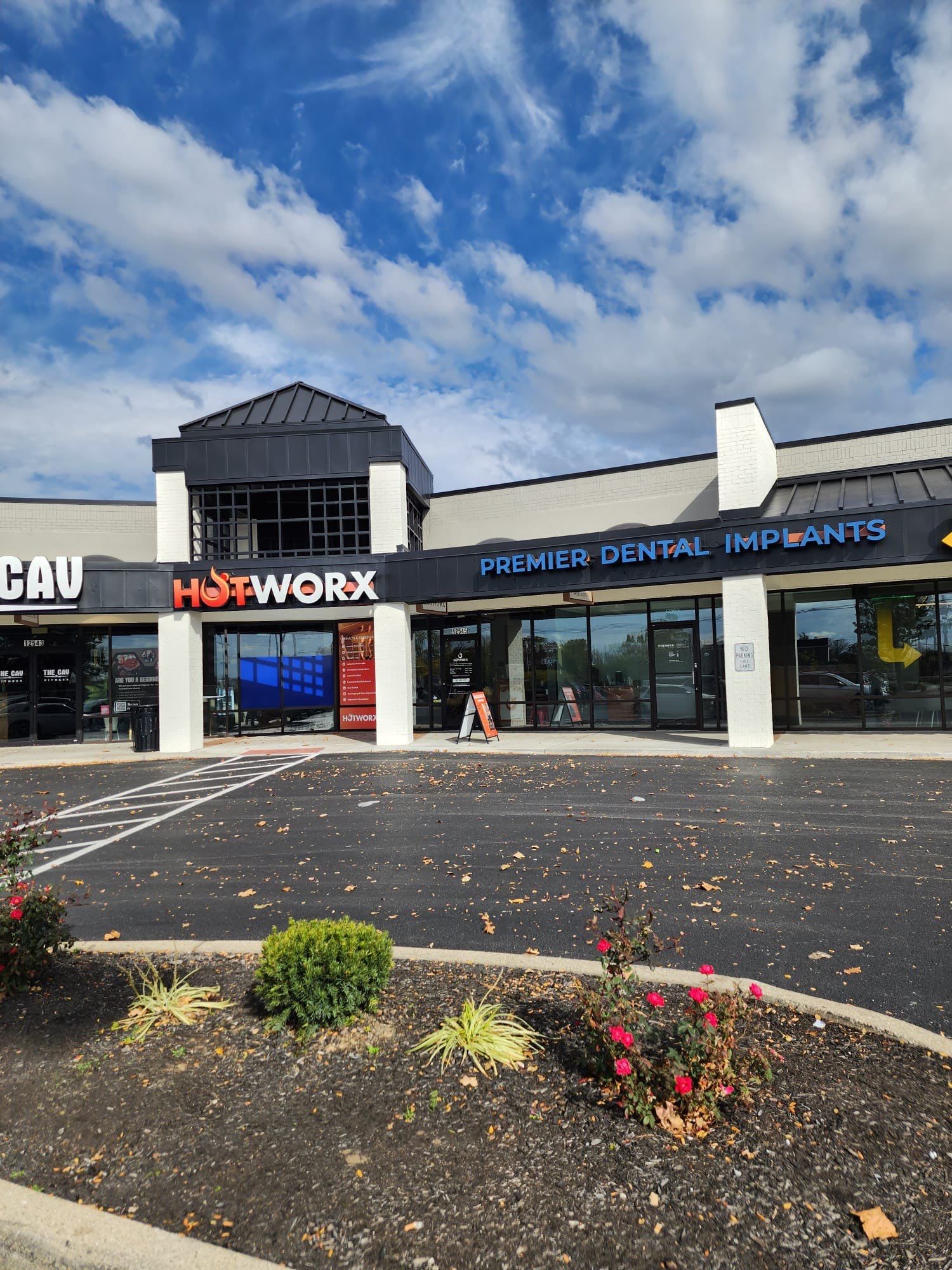 Cabinet Painting Before