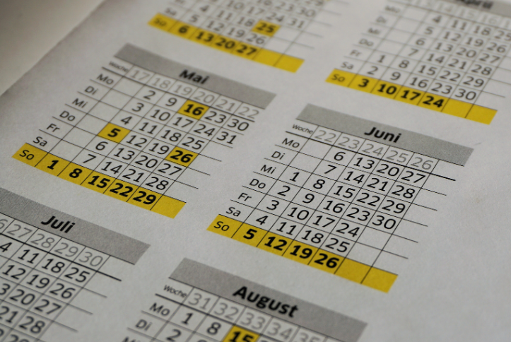 Interior House Painter Schedule