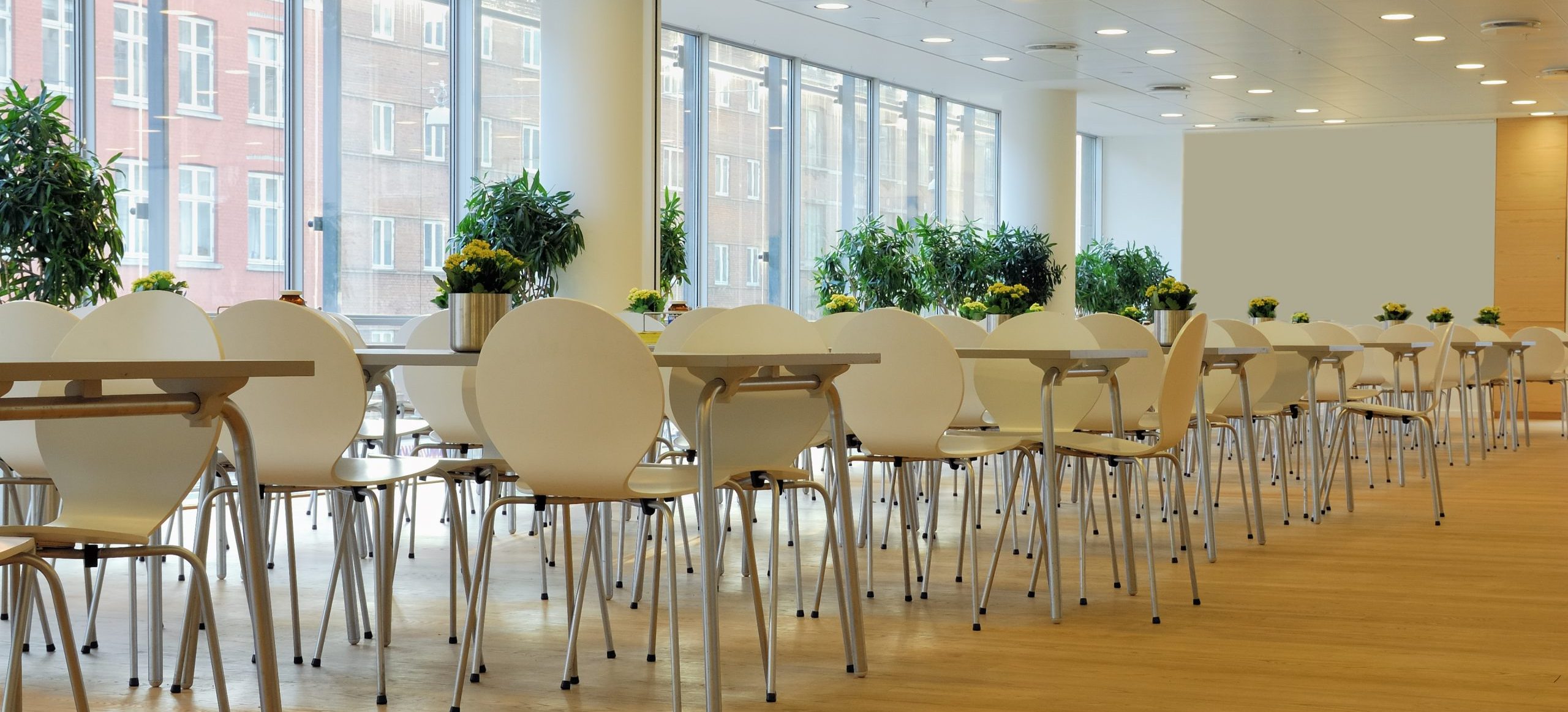 2024 Project Inspiration Painting